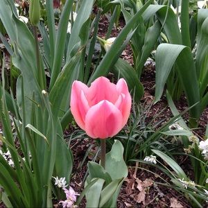 Meet your Posher, Kristi